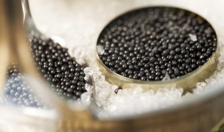 Caviar sturia - Saint-Rémy-de-Provence - L’Écailler DE L'ESTAGNOL